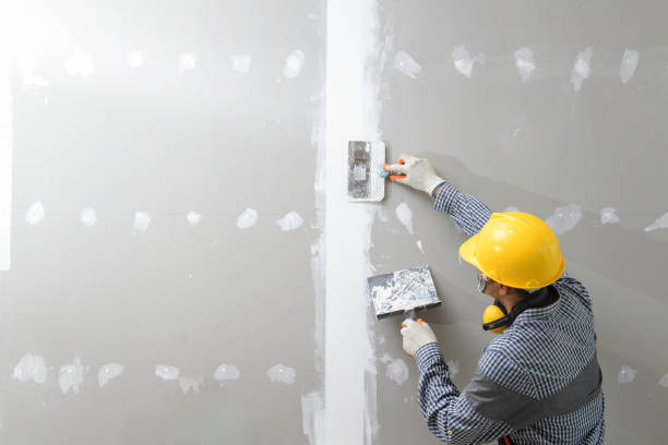 Best Black Mold Removal  in Urbancrest, OH
