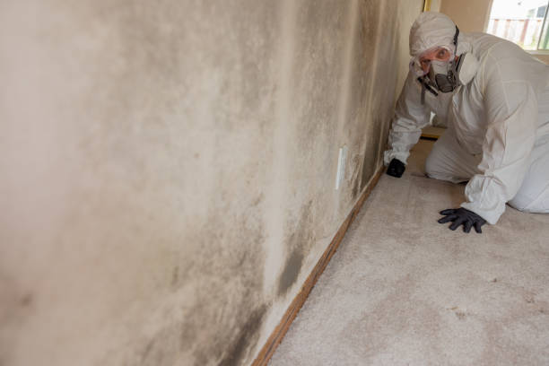 Best Mold-Related Health Consultation  in Urbancrest, OH